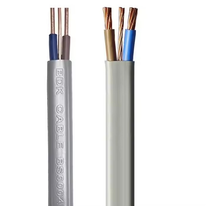 BS6004 624y 2.5mm Twin and Earth Cable